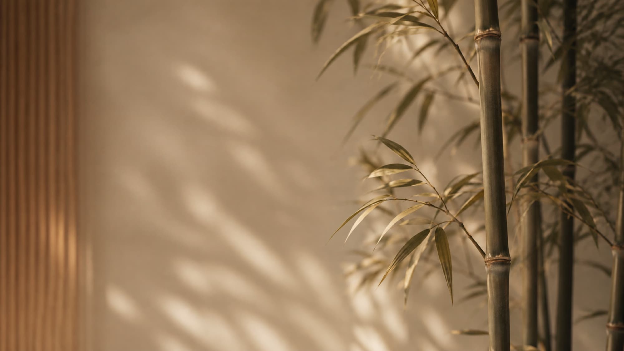 Warme bamboe in het interieur van Bambu Club